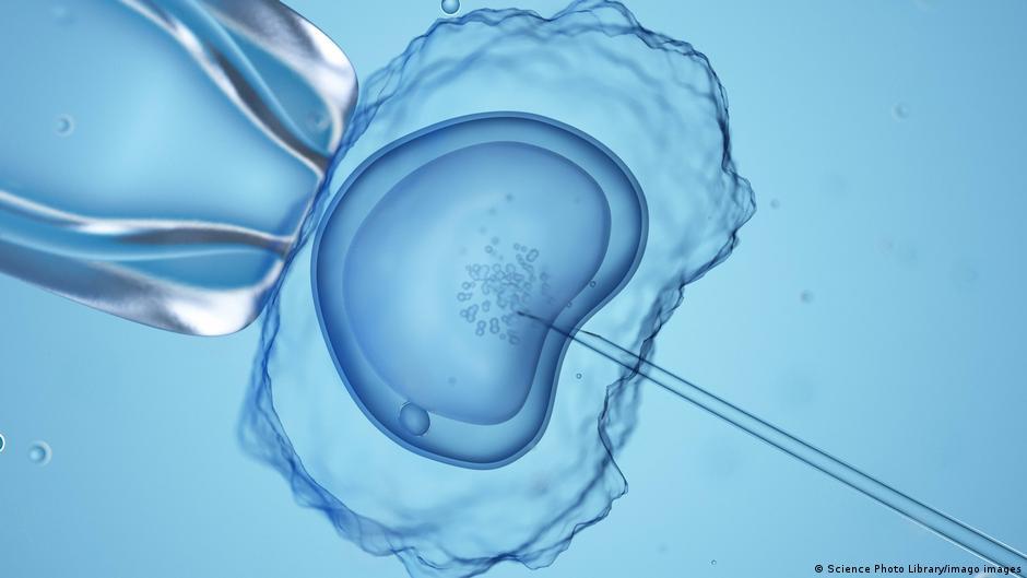 Reproductive medicine laws in Germany 'shockingly unjust'