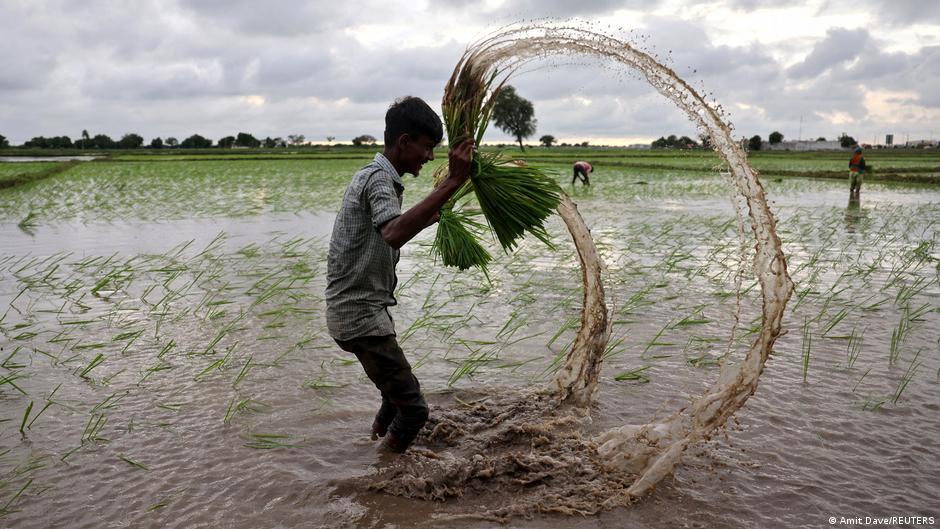 How Iran, Ukraine wars and El Nino could fuel world hunger