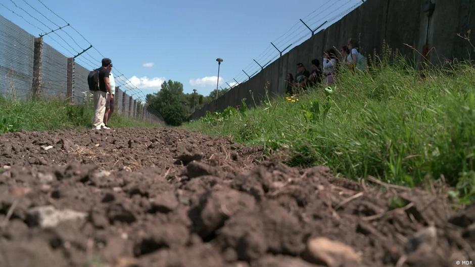 East-West border death zone now Germany's biodiversity oasis