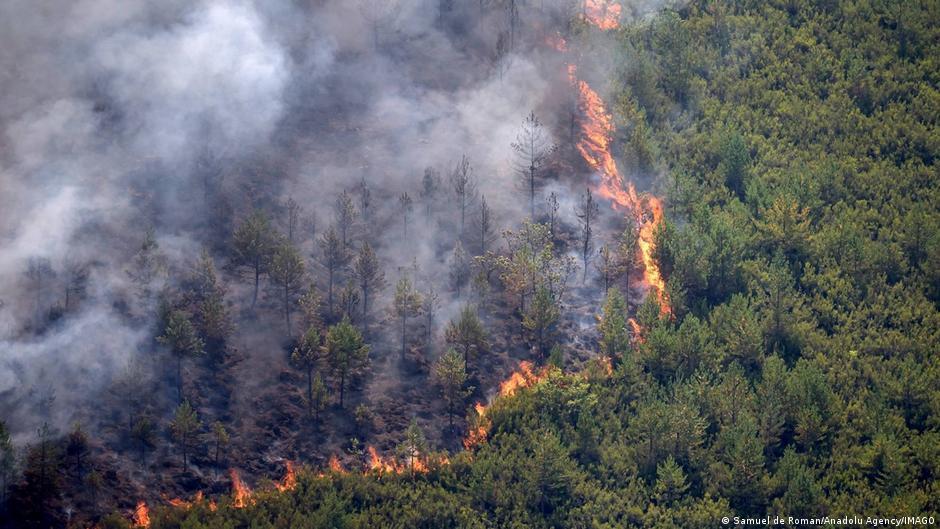 Spain battles deadly wildfire amid heat wave