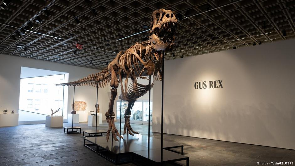 T. rex 'Gus' sells for record-breaking $50.1 million